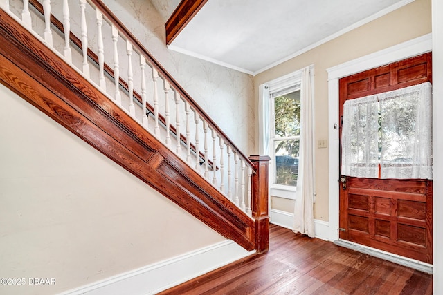 foyer entrance featuring crown molding and dark wood-type flooring