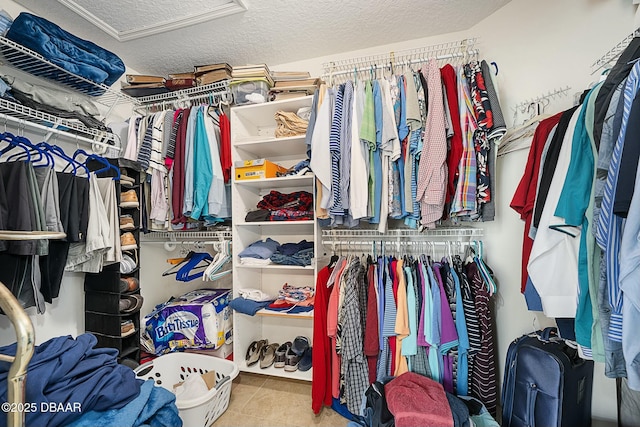 view of walk in closet