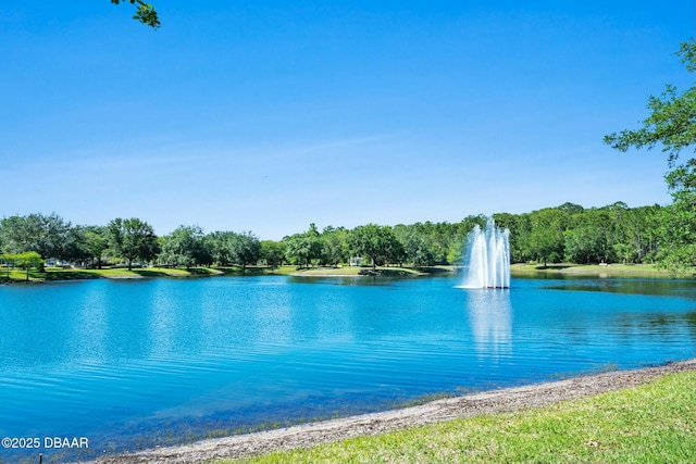 32 Gale Ln, Ormond Beach, FL 32174 - water view with a heavily wooded area