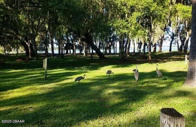 25358 NE 139th Loop, Salt Springs, FL 32134