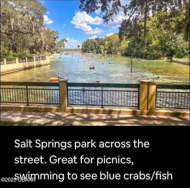 25358 NE 139th Loop, Salt Springs, FL 32134