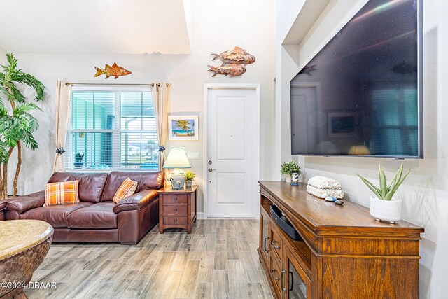 living room featuring light wood-type flooring