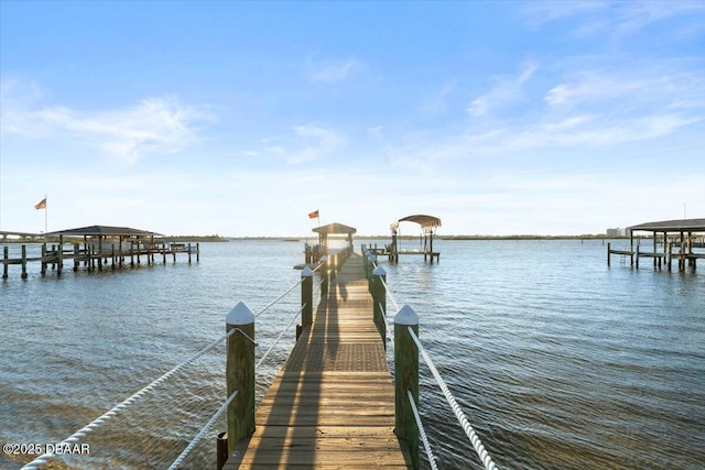 dock area with a water view