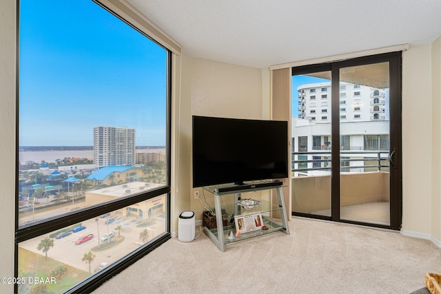 carpeted living room featuring a wall of windows and a wealth of natural light