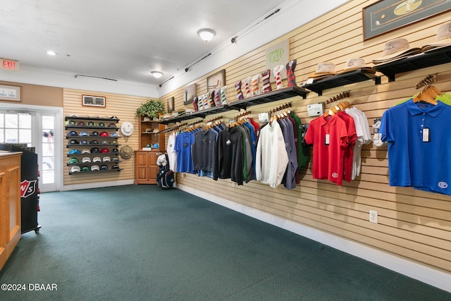 garage featuring wooden walls