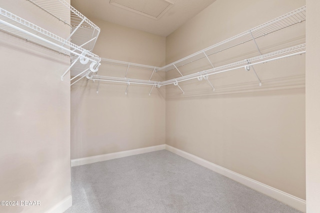 walk in closet featuring carpet