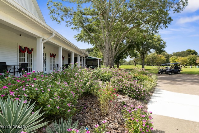 view of yard with covered porch