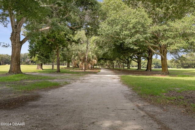 3404 Rexford Cir, Ormond Beach, FL 32174 - view of community with a yard