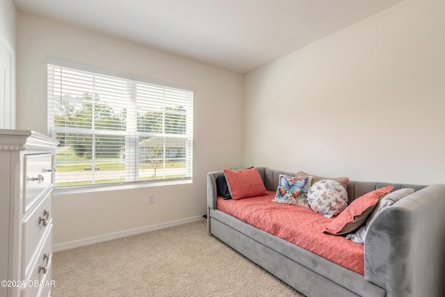 bedroom featuring light carpet