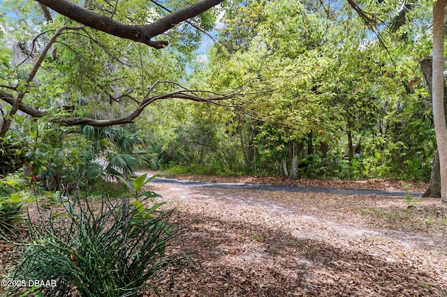 view of road with a view of trees