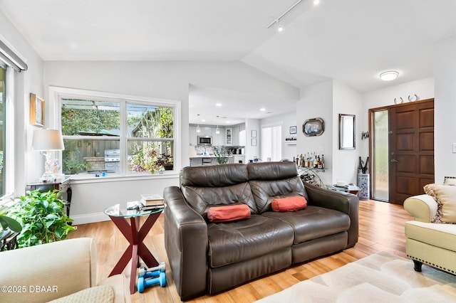 living area featuring wood finished floors and lofted ceiling