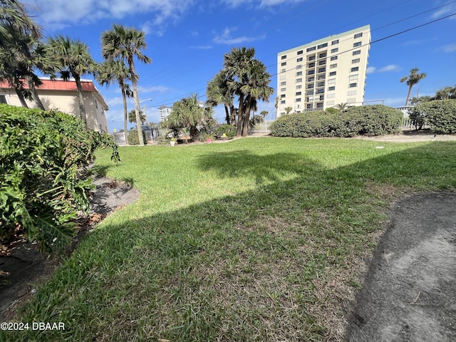 1510 Ocean Shore Blvd Unit 3120, Ormond Beach, FL 32176 - view of green lawn