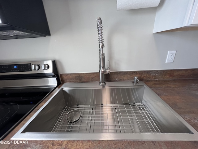 details featuring white cabinetry, sink, and stainless steel range with electric stovetop