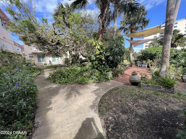 1510 Ocean Shore Blvd Unit 3120, Ormond Beach, FL 32176 - view of community