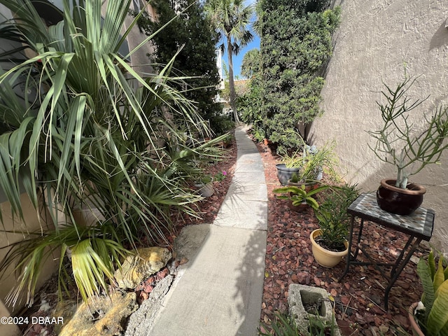 1510 Ocean Shore Blvd Unit 3120, Ormond Beach, FL 32176 - view of yard
