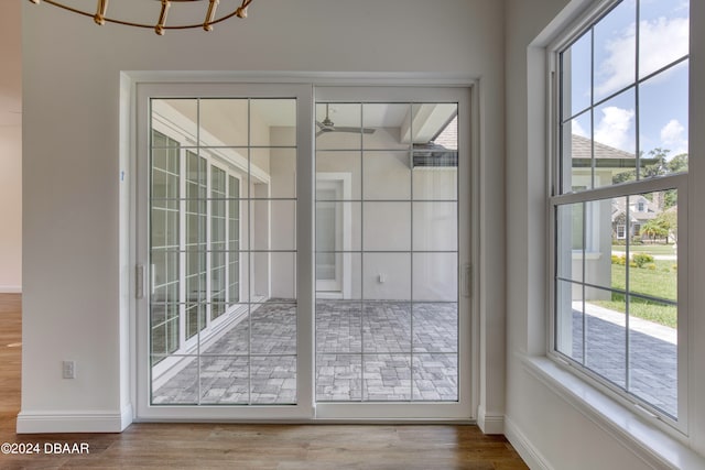 entryway with ceiling fan, hardwood / wood-style floors, and a healthy amount of sunlight