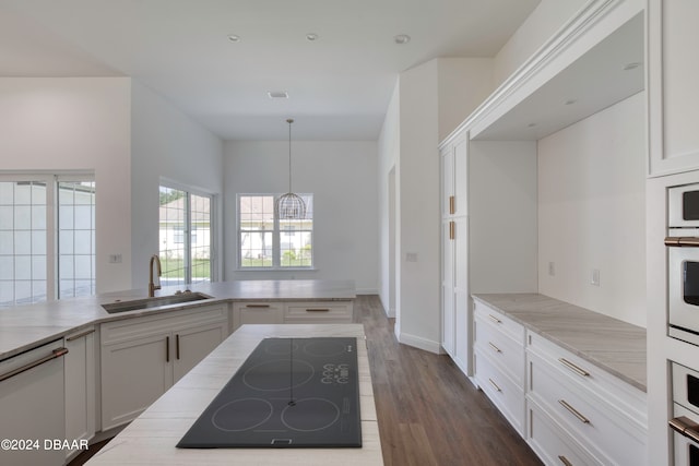 kitchen featuring black electric stovetop, decorative light fixtures, hardwood / wood-style floors, sink, and white cabinets