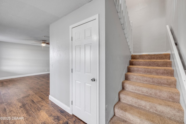 3656 Jackson St Unit 11, Port Orange, FL 32129 - stairs with wood finished floors, ceiling fan, and baseboards
