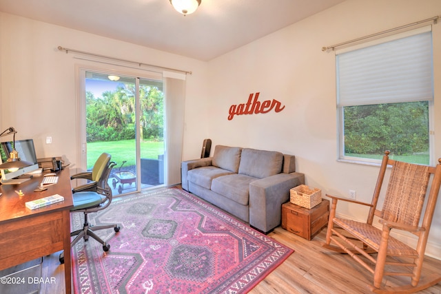 office featuring light hardwood / wood-style floors