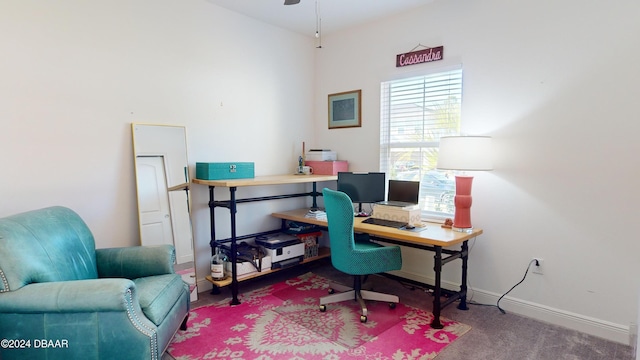 office featuring carpet