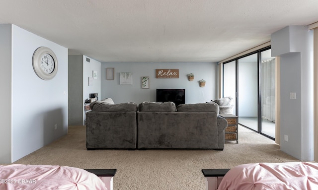 living room featuring light carpet and a textured ceiling