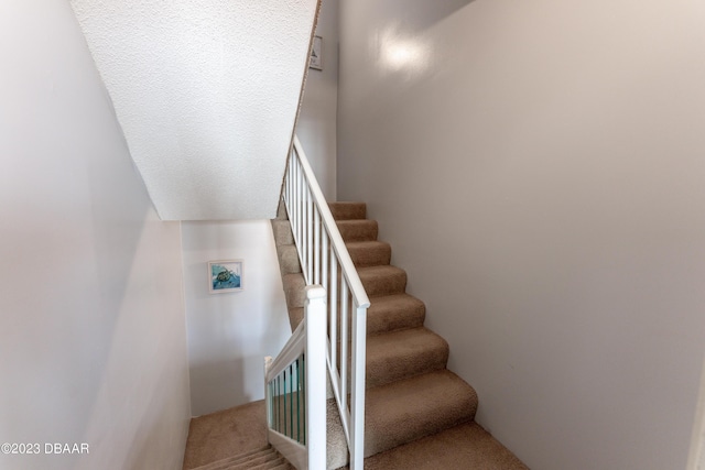 stairs featuring carpet