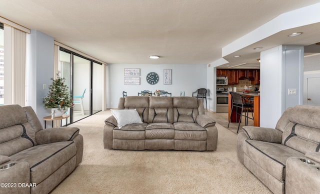 carpeted living room featuring a healthy amount of sunlight