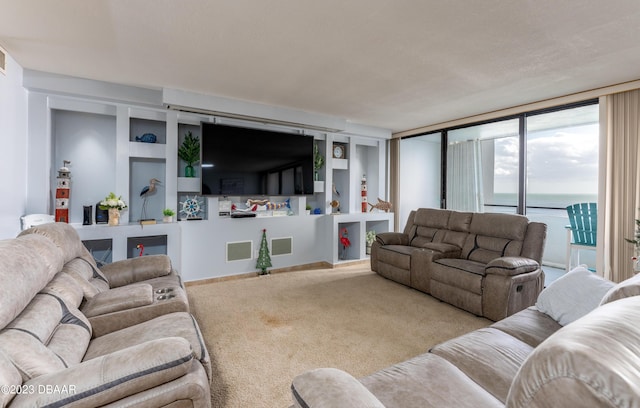 view of carpeted living room