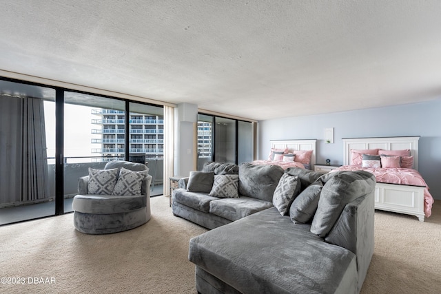 carpeted bedroom with access to exterior and a textured ceiling