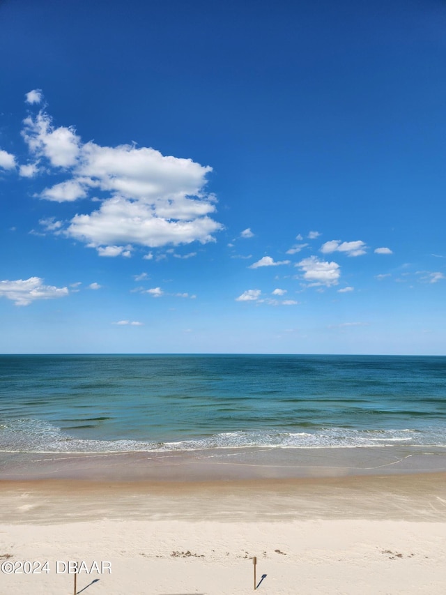 water view featuring a beach view