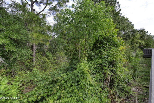 view of nature