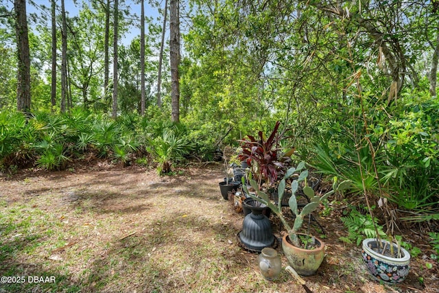 16 Powder Hill Ln, Palm Coast, FL 32164 - view of yard