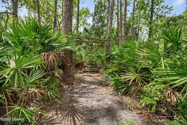 16 Powder Hill Ln, Palm Coast, FL 32164 - exterior space