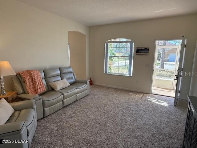 living room featuring carpet flooring and a healthy amount of sunlight