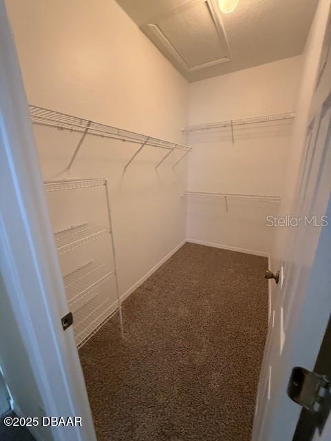 walk in closet with carpet