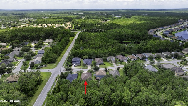 43 Levee Ln, Ormond Beach, FL 32174 - photo 33