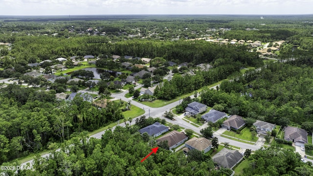 43 Levee Ln, Ormond Beach, FL 32174 - photo 31