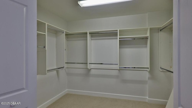 walk in closet featuring carpet flooring