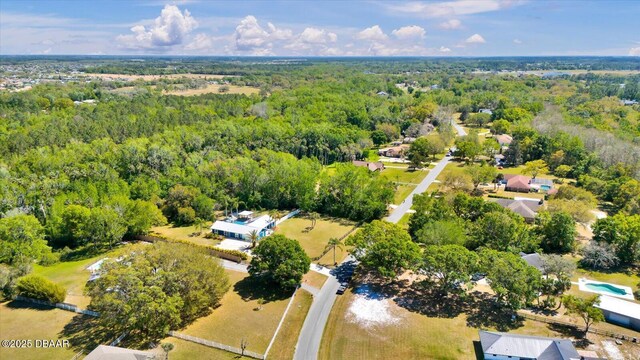 245 Country Circle Dr E, Port Orange, FL 32128 - photo 59