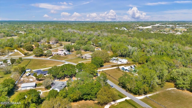 245 Country Circle Dr E, Port Orange, FL 32128 - photo 58