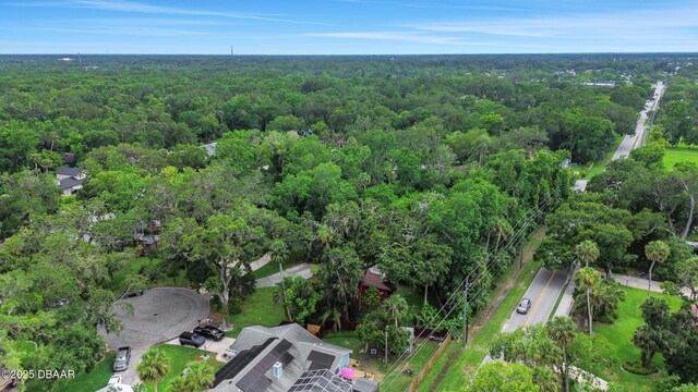 874 Quarters Ct, Port Orange, FL 32129 - photo 45