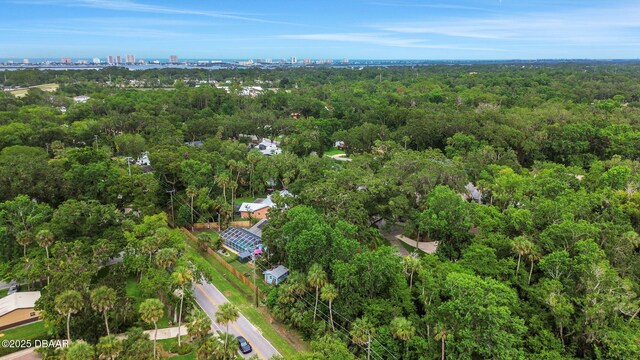 874 Quarters Ct, Port Orange, FL 32129 - photo 47