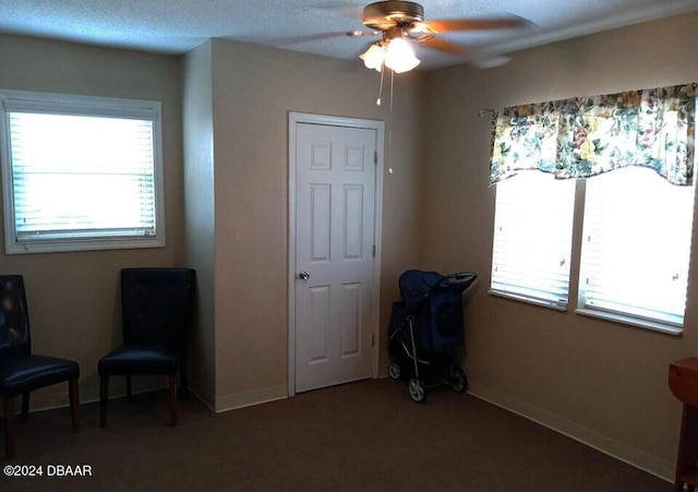 living area with ceiling fan and a textured ceiling