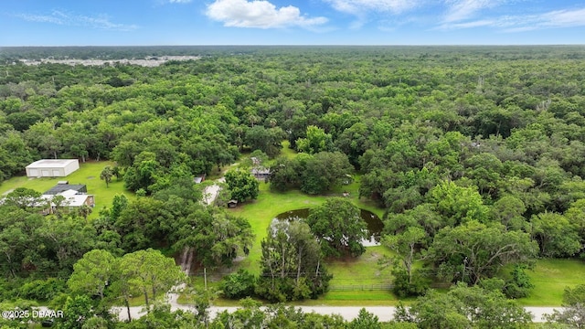 2950 Ragis Rd, Edgewater, FL 32132 - aerial view of a heavily wooded area
