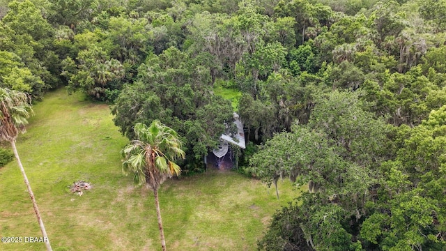 2950 Ragis Rd, Edgewater, FL 32132 - drone / aerial view of a forest