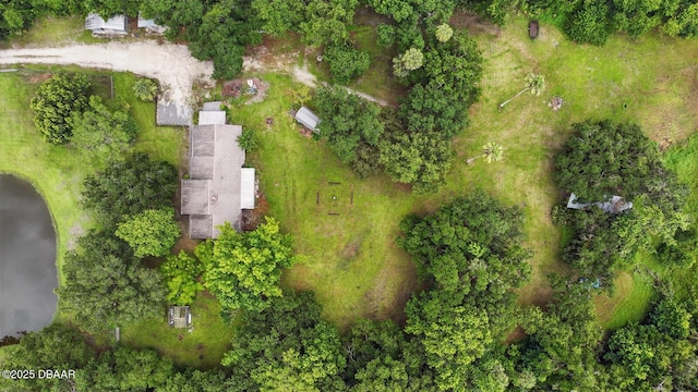 2950 Ragis Rd, Edgewater, FL 32132 - aerial view
