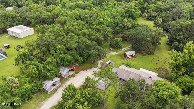 2950 Ragis Rd, Edgewater, FL 32132 - drone / aerial view of a forest