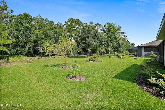 665 Elk River Dr, Ormond Beach, FL 32174 - view of yard