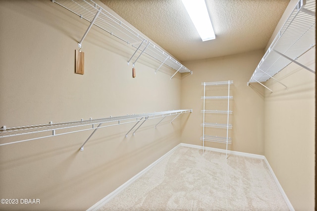 665 Elk River Dr, Ormond Beach, FL 32174 - walk in closet with carpet flooring
