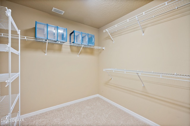 665 Elk River Dr, Ormond Beach, FL 32174 - spacious closet with carpet flooring
